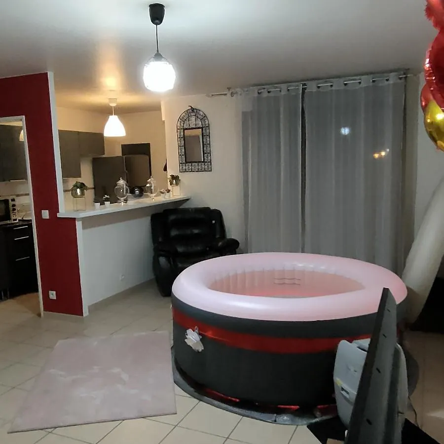 Apartment Cosy Private Jacuzzi Spa Apartment In Paris Paris