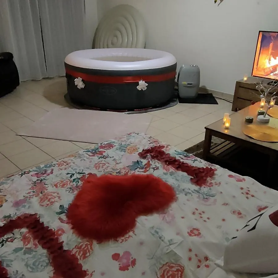 Cosy Private Jacuzzi Spa Apartment In Paris Apartment *